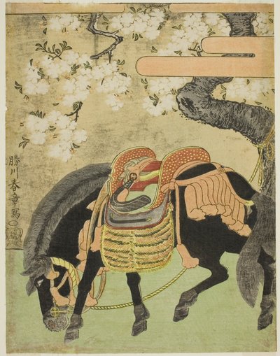Caballo negro atado bajo un cerezo en flor de Katsukawa Shunsho