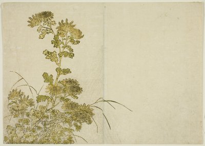Flores de invierno: crisantemos, del libro "Espejo de mujeres hermosas de los barrios de placer (Seiro bijin awase sugata kagami)," vol. 1 de Katsukawa Shunsho