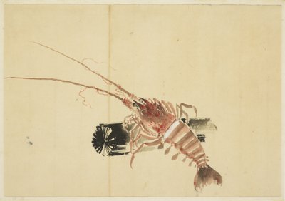 Ebi (Camarón gigante) de Katsushika (school of) Hokusai