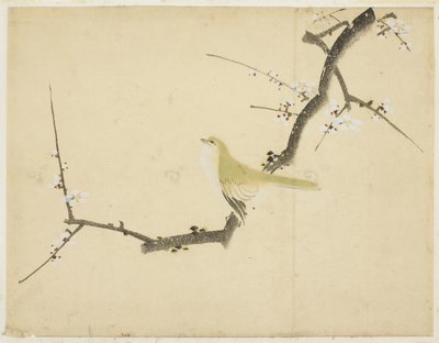 Ruiseñor en una rama de ciruelo de Katsushika (school of) Hokusai