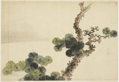 Rama de pino de Katsushika (school of) Hokusai