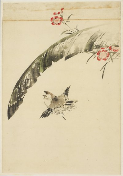 Gorrión y hoja de plátano y claveles de Katsushika (school of) Hokusai