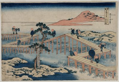 Una antigua imagen del puente de ocho partes en la provincia de Mikawa (de la serie Vistas curiosas de puentes famosos en las provincias) de Katsushika Hokusai