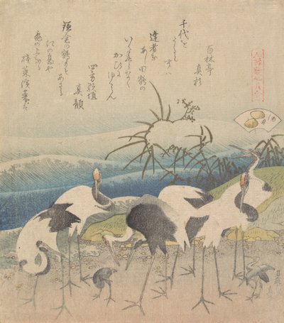 Ashi Clam, de la serie Genroku Kasen Kai-awase de Katsushika Hokusai