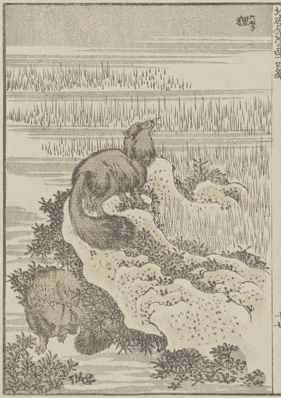 Tejón, c. 1840 de Katsushika Hokusai
