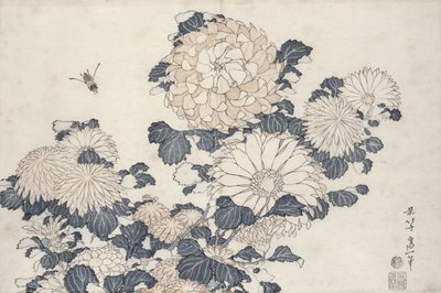 Abeja y crisantemos, de la serie 