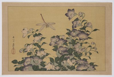 Campanilla y libélula de Katsushika Hokusai