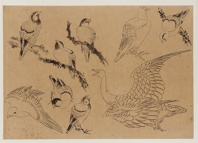 Aves, período Edo, finales del siglo XVIII-principios del siglo XIX de Katsushika Hokusai