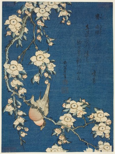Camachuelo y Cerezo Llorón (Uso, shidarezakura), de una serie sin título de flores y pájaros de Katsushika Hokusai