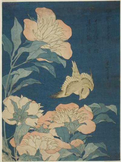 Canario y Peonía (Kanaari, shakuyaku), de una serie sin título de flores y pájaros de Katsushika Hokusai