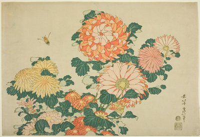 Crisantemos y abeja, de una serie sin título de Flores Grandes de Katsushika Hokusai