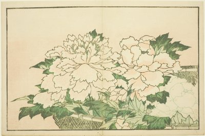 Crisantemos en una cesta, del Libro de Pinturas Realistas de Hokusai (Hokusai shashin gafu) de Katsushika Hokusai
