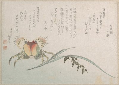 Planta de cangrejo y arroz de Katsushika Hokusai