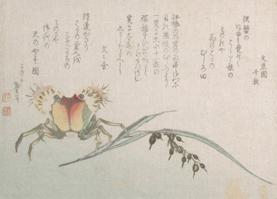 Cangrejo y planta de arroz, siglo XIX de Katsushika Hokusai