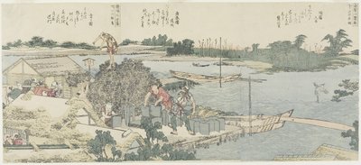 Grulla y campo de pinos en Shirahige, Taya en Hashiba, 1775-1849 de Katsushika Hokusai