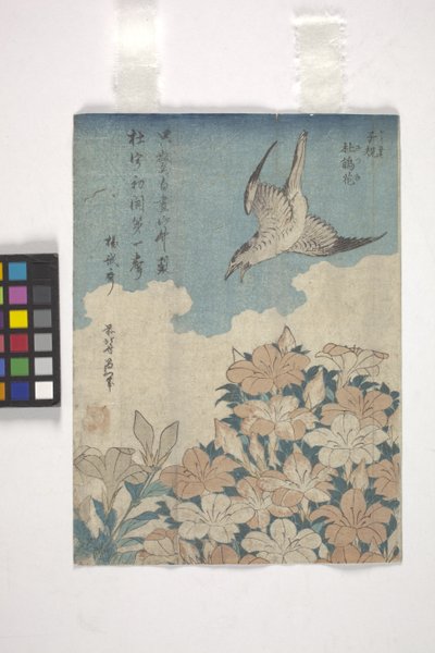 Cuco y azalea (xilografía en color) de Katsushika Hokusai