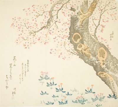 Dientes de león y tréboles bajo el cerezo de Katsushika Hokusai
