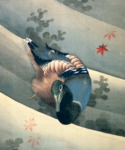Pato nadando en el agua de Katsushika Hokusai