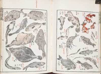 Peces y criaturas marinas de Katsushika Hokusai
