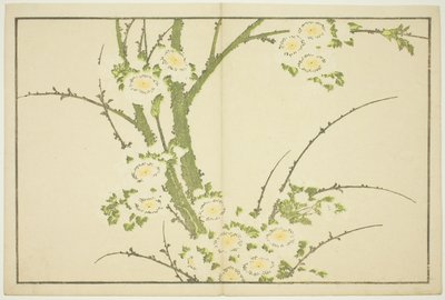 Flores, del Libro de Imágenes Realistas de Hokusai (Hokusai shashin gafu) de Katsushika Hokusai