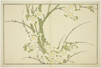 Flores, de El libro de pinturas realistas de Hokusai (Hokusai shashin gafu), c.1814 (xilografía en color (hoja de álbum)) de Katsushika Hokusai