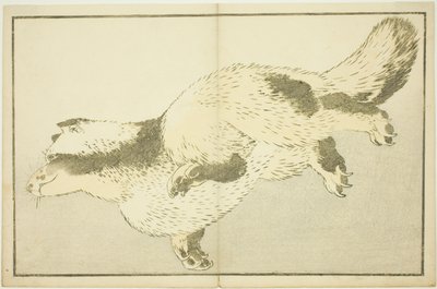 Zorro, del Libro de Pinturas Realistas de Hokusai (Hokusai shashin gafu) de Katsushika Hokusai