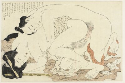 mujer casada con amante La planta de Adonis (título de la serie) Fukujuso (título de la serie) de Katsushika Hokusai