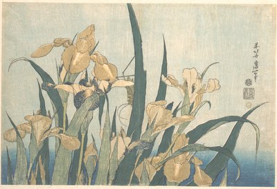 El saltamontes y el iris de Katsushika Hokusai