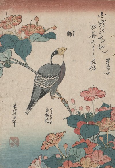 Grosbeak on Mirabilis, de una serie sin título llamada Small Flowers de Katsushika Hokusai