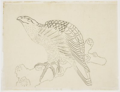 Halcón en una Rama (estudio) de Katsushika Hokusai