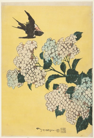 Hortensia y golondrina, de una serie sin título de flores grandes de Katsushika Hokusai
