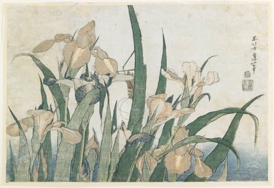 Flores de Iris y Saltamontes, c.1830-31 de Katsushika Hokusai