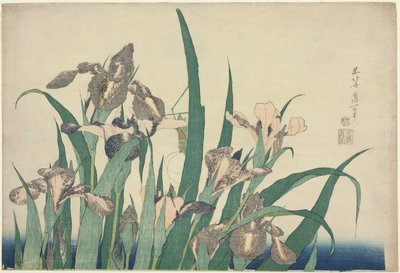 Iris y saltamontes, de una serie sin título de flores grandes de Katsushika Hokusai