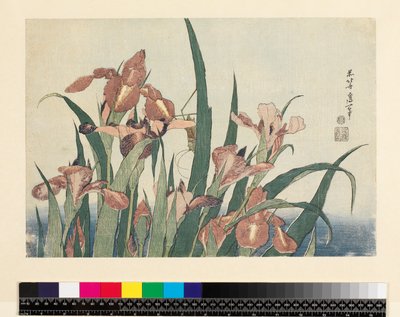 Iris y saltamontes, pub. por Nishimura Eijudo, c.1832 de Katsushika Hokusai