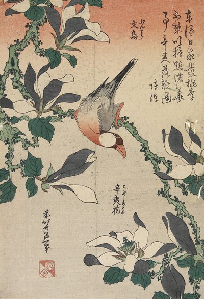 Gorrión de Java y Magnolia, c. 1832 de Katsushika Hokusai