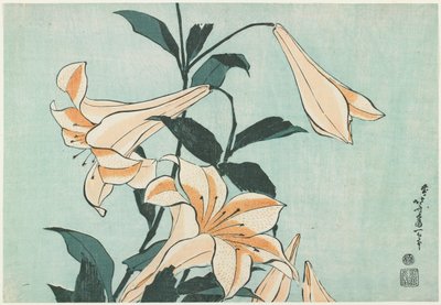 Lirios de Katsushika Hokusai