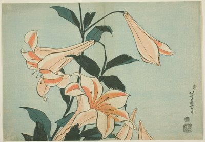 Lirios, de una serie sin título de Flores Grandes de Katsushika Hokusai