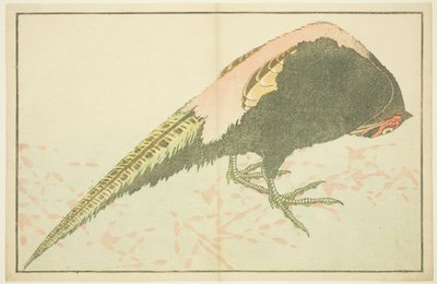 Faisán macho, del Libro de Pinturas Realistas de Hokusai (Hokusai shashin gafu) de Katsushika Hokusai