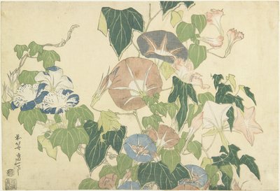 Glorias de la mañana y rana arbórea, de la serie sin título conocida como Grandes Flores, c.1833-34 de Katsushika Hokusai