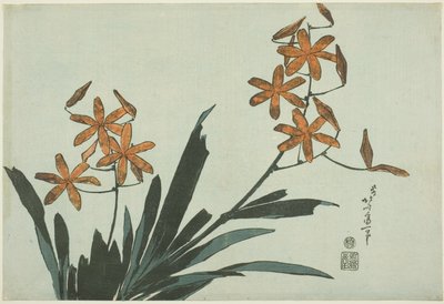 Orquídeas naranjas, de una serie sin título de flores de Katsushika Hokusai