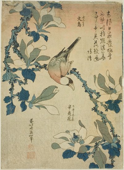 Pájaro Paddy y Flores de Magnolia, de una serie sin título de flores y pájaros de Katsushika Hokusai