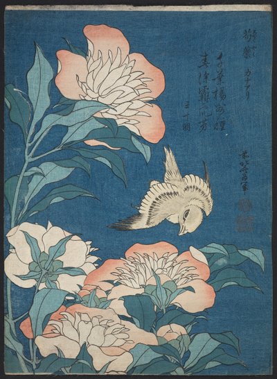 Peonías y canario (Shakuyaku, kanaari), de una serie sin título conocida como Pequeñas Flores de Katsushika Hokusai