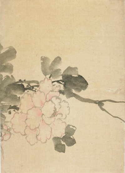 Peonía, finales del siglo XVIII-principios del siglo XIX de Katsushika Hokusai