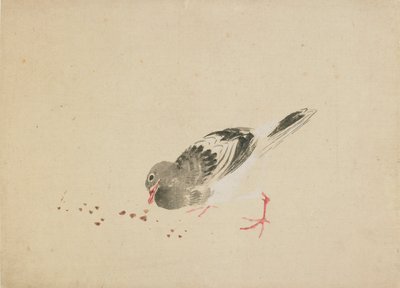 Paloma, finales del siglo XVIII - principios del siglo XIX de Katsushika Hokusai