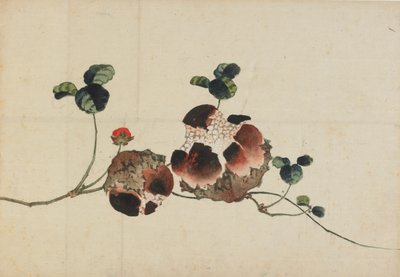 Granadas, finales del siglo XVIII-principios del siglo XIX de Katsushika Hokusai