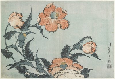 Amapolas, c. 1832 de Katsushika Hokusai