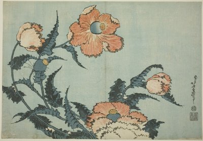 Amapolas, de una serie sin título de flores de Katsushika Hokusai