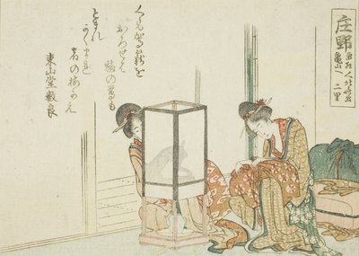 Shono, de una serie sin título de las cincuenta y tres estaciones del Tokaido de Katsushika Hokusai