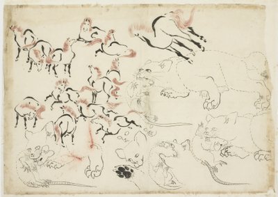 Estudios de Caballos, Gatos y Ratas (de "Hokusai Manga"), ca. 1815-1849 de Katsushika Hokusai