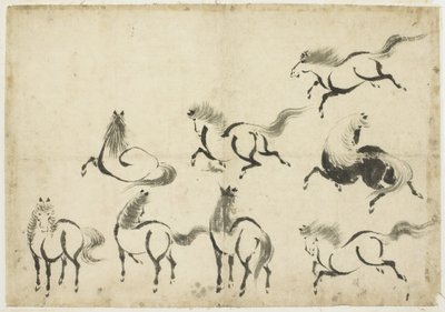 Estudios de caballos, c.1815-1849 de Katsushika Hokusai